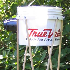 True Value bucket